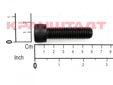 Винт с внутренним шестигранником M12x45 DIN 912 31926999-1