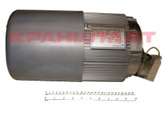 52273095 Крановый двигатель подъёма
