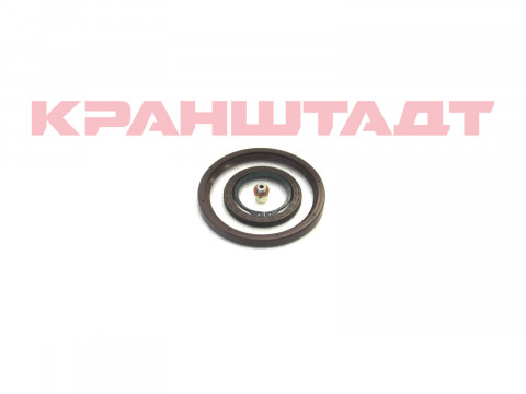 Комплект уплотнений DH1000 82415033-1