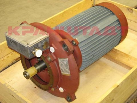 Крановый двигатель подъёма M16LDTU2N1J29-1