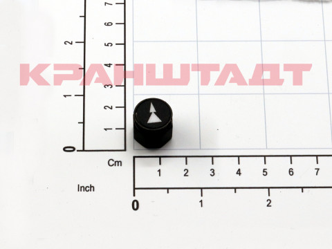 PUSH BUTTON N0001251-1