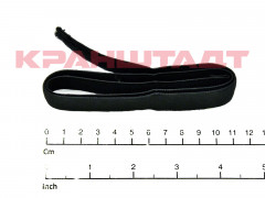 N0003763 STRAP