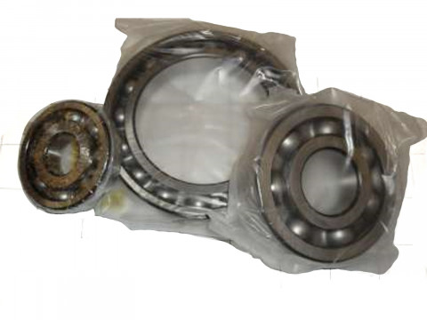 BEARING SET N0004383-1