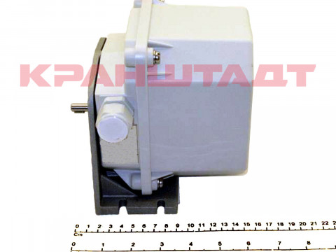 ROTARY LIMIT SWITCH N0005260-1