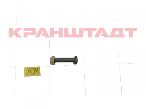 Ось N0007999-1