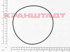 N0008499 O0RING