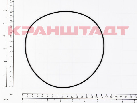 O0RING N0008499-1