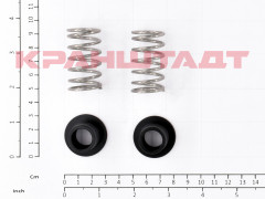 N0009265 SPRING SET