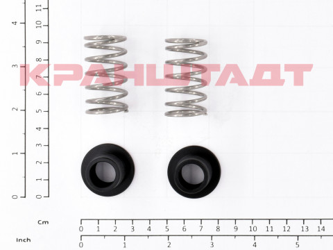 SPRING SET N0009265-1