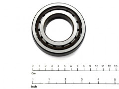 50001333 BEARING; ROLLER BEARING