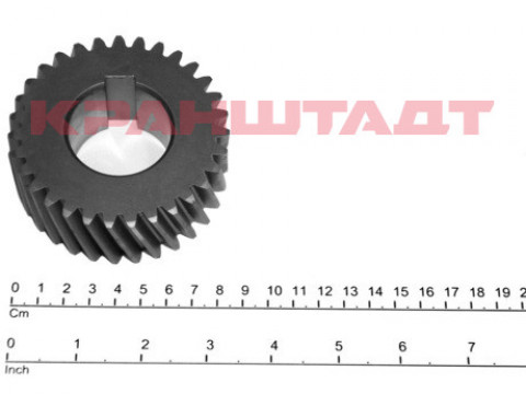 GEAR WHEEL 50011649-1