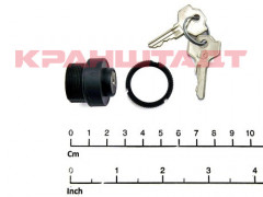 52299346 KEY SWITCH