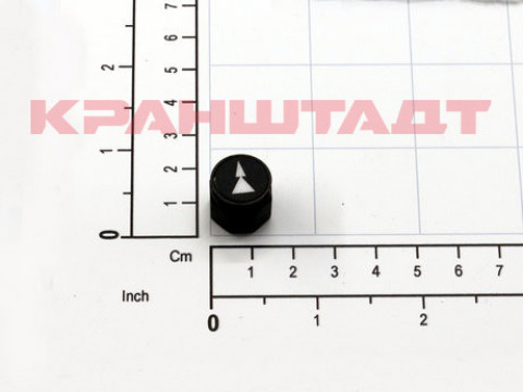 PUSH BUTTON 52299962-1