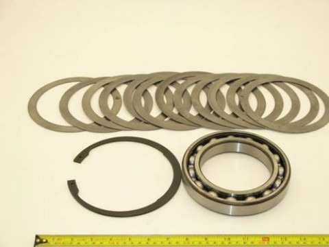 BEARING SET 52313124-1