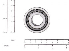 52725165 CYLINDRICAL ROLLER BEARING