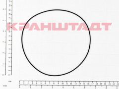 52730448 O-RING