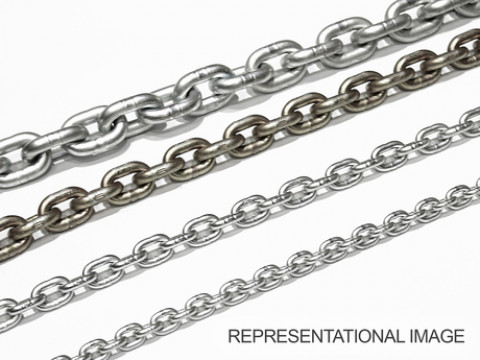 CHAIN 53089313-1