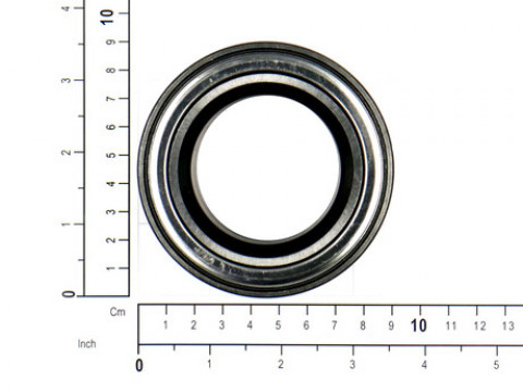 BEARING; ROLLER BEARING 54101790-1