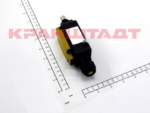 LIMIT SWITCH 55098598-1