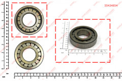 55434854 BEARING; ROLLER BEARING