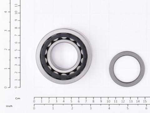 BEARING; ROLLER BEARING 60026534-1