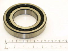 60026536 BEARING; ROLLER BEARING