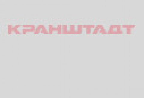 Тормоз V0025782-1